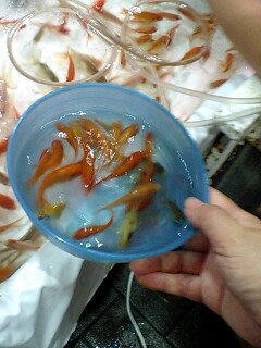 080813_1900~0001.jpg