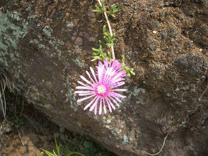DSCF1273.gif